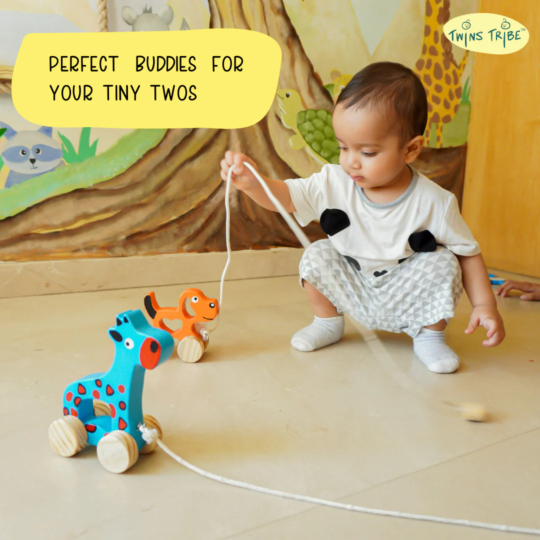 TwinsTribe Pull-Along Companions Set – Walking Buddies for Toddler Twins - Image 4